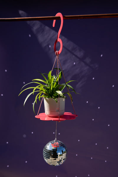 Disco Daisy Plant Hanger