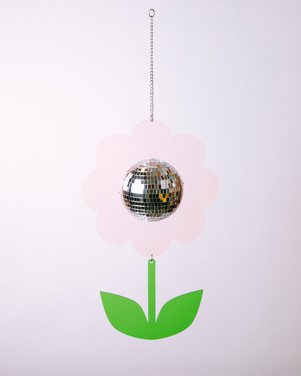 Disco Daisy with Stem