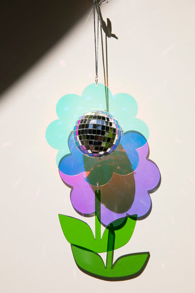 Disco Daisy with Stem