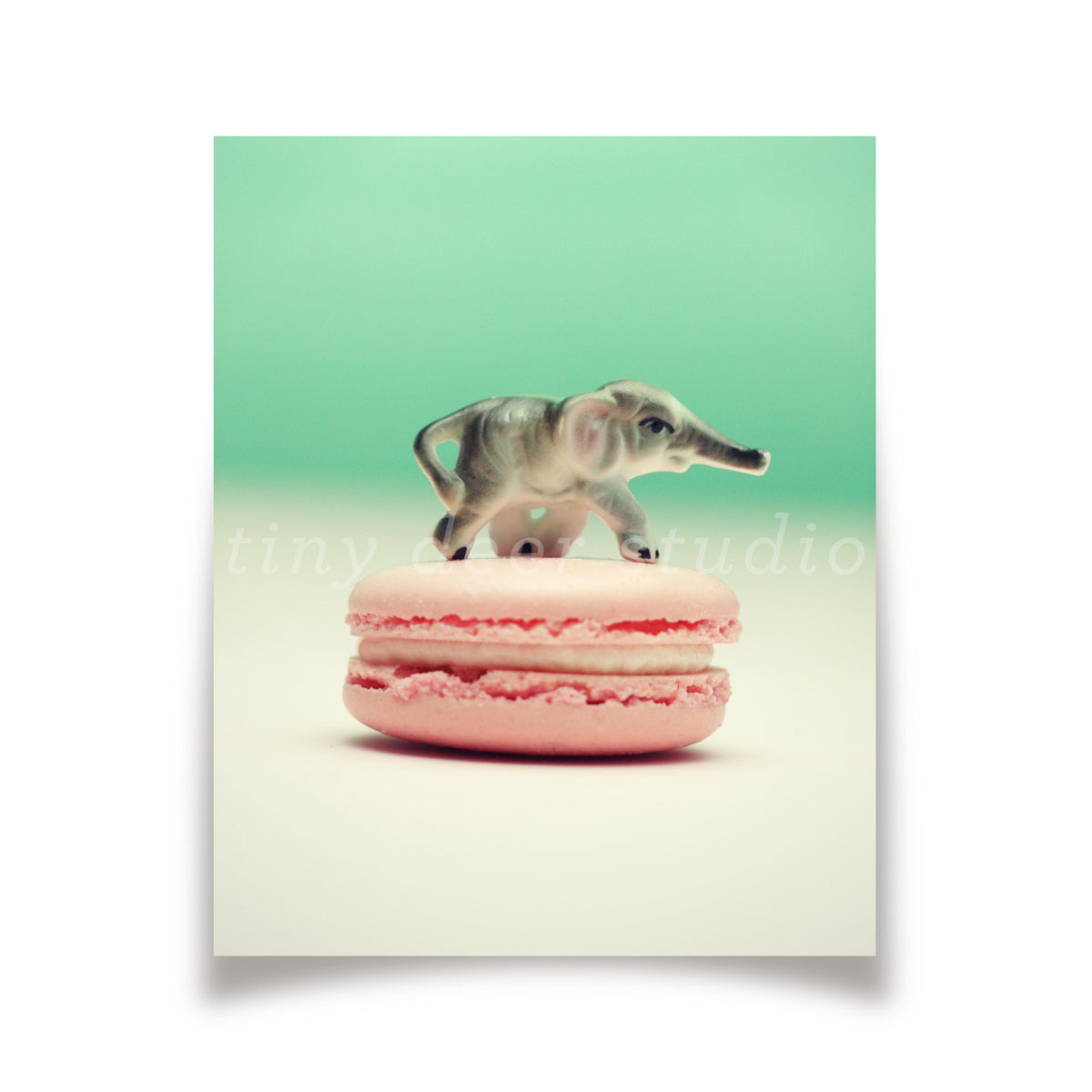 Macaron Elephant