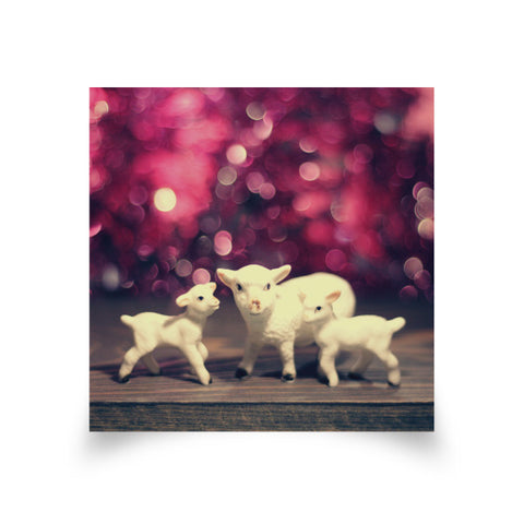 Sparkle Mama and Lambs