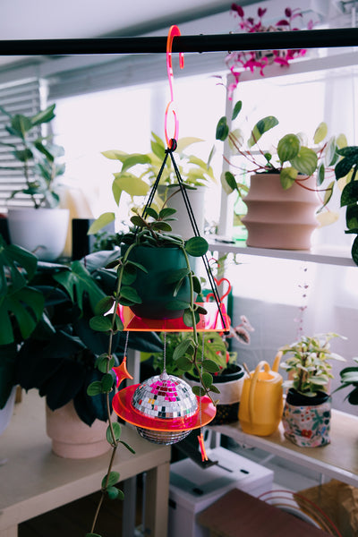 Disco Planet Plant Hanger