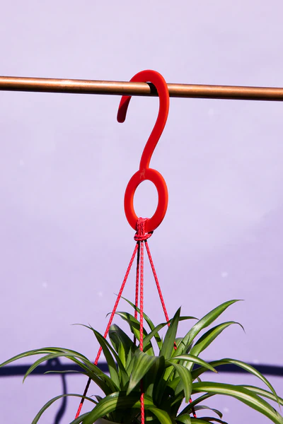 Disco Daisy Plant Hanger