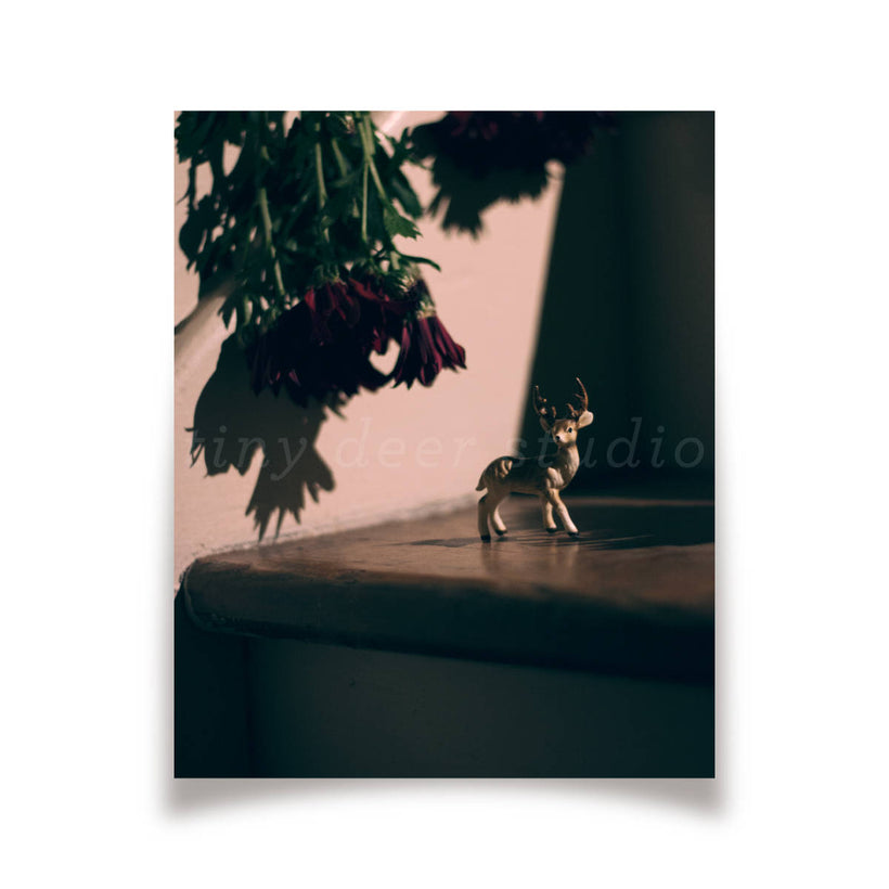 Classic Tiny Deer Studio Prints